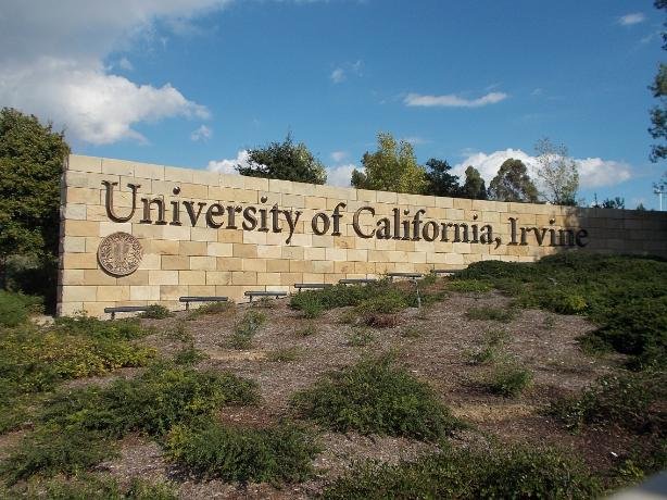University of California, Irvine: Navigating Academia and Beyond